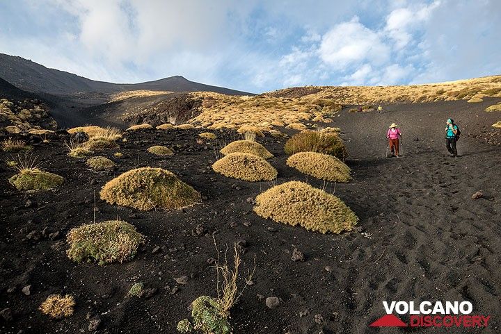 After a long descend through volcanic sand and gravel, our group arrives at 2000 m elevation. (Photo: Tom Pfeiffer)
