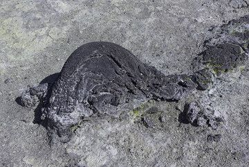 Old volcanic bomb (Photo: Tom Pfeiffer)