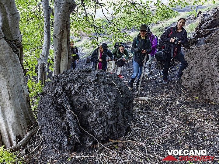 A huge volcanic bomb in a forest. (Photo: Tobias Schorr)