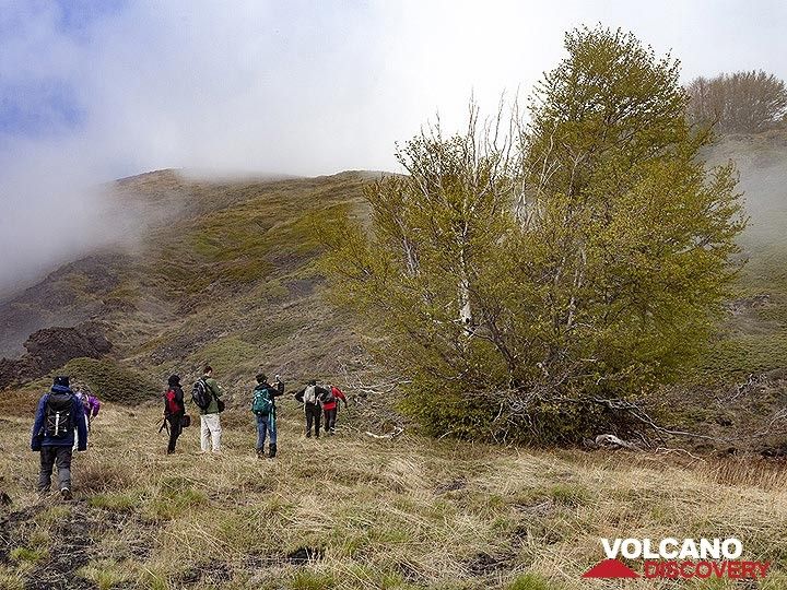 Les arbres près d'une ancienne éruption de fissure ont été touchés par des bombes de lave... (Photo: Tobias Schorr)