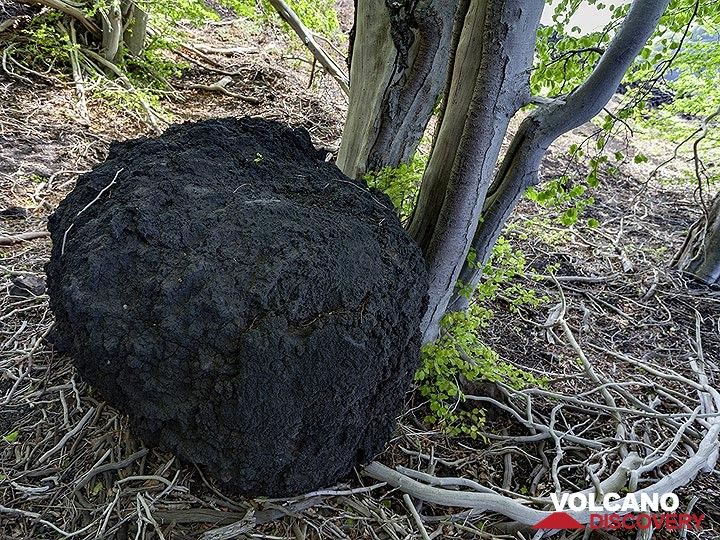 Volcanic bombs in this size can be thrown for a distance of kilometres! (Photo: Tobias Schorr)