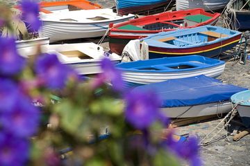 Fishing boats at Catania (Photo: Tobias Schorr)
