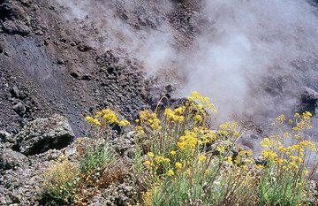 El frente del flujo de lava. (Photo: Tom Pfeiffer)