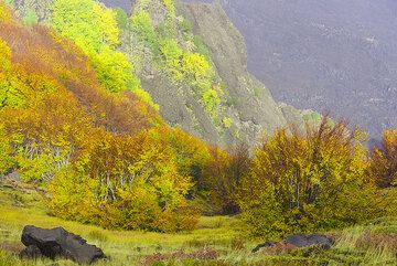 The lower parts of the cliffs of Valle del Bove still are painted with the nice colors of autumn leaves. (Photo: Tom Pfeiffer)