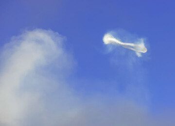 The rotation of the vortex can be seen in this picture in the sideways perspective of another steam ring. (Photo: Tom Pfeiffer)