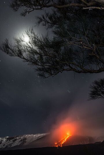 Moon, trees and lava. (Photo: Tom Pfeiffer)