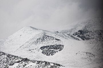 White Montagnola - rare view in mid June! (Photo: Tom Pfeiffer)