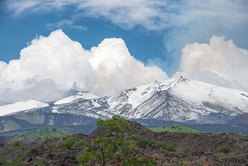 The volcano's summit mostly shredded in thick clouds, it presents a winter-like appearance from Nicolosi. The eruption continues with little variation at the NSEC. As a precaution, the Catania airport was briefly closed, but as it turned out, the eruption never escalated into a paroxysm with lava fountains and associated ash plumes. (Photo: Tom Pfeiffer)