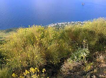 Blick von Stromboli (Photo: Tom Pfeiffer)