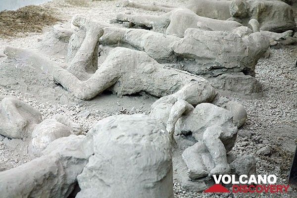 Plaster casts of the hollows left by bodies of victims found in place in the ruins. When Vesuivus erupted in 79 AD, many inhabitants took a fatal decision to stay in the city, trying to cope with the initial constant fall of pumice. When the first pyroclastic flows invaded the city, the remaining survivors were killed, probably more or less instantly. Their bodies were incorporated into the thick ash and pumice deposits and left hollows when the organic material decomposed away. (Photo: Tom Pfeiffer)