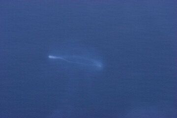 Vulcano Stromboli: fumo anelli (giugno 2006) (c)