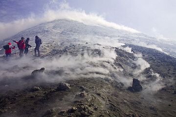 Man erkennt, dass die Fumarolen entlang von Spalten austreten, die sich konzentrisch um den Voragine Krater legen, auf den Rosario gerade zeigt.   (c)