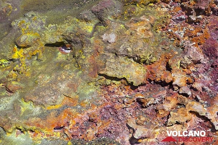 The ground here is colorfully altered by the action of fumaroles. (Photo: Tom Pfeiffer)