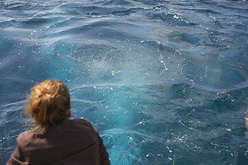 Fumarolas submarinas cerca de Lisca Bianca (Panarea) (Photo: Tom Pfeiffer)