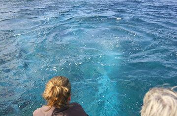 Submarine fumaroles near Lisca Bianca (Panarea Island) (Photo: Tom Pfeiffer)