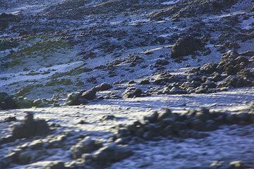 etna_g6287.jpg (Photo: Tom Pfeiffer)