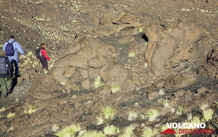 After about 1 hr, we have reached the large lava field of the huge effusive eruption from 1614-1624, that covered much of Etna's upper north flank with pahoehoe-type ("ropy") lava. This tumulus shows bizarre, almost living shapes. (Photo: Tom Pfeiffer)