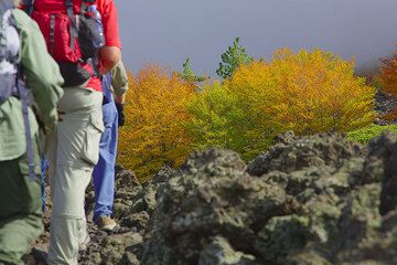 After hours of walking through endless lava desert, a patch of trees with their vibrant autumn colors is refreshening. (Photo: Tom Pfeiffer)