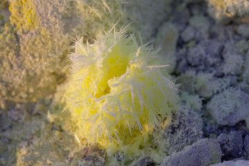 Filigram sulphur needles around a small fumarole vent (Photo: Tom Pfeiffer)