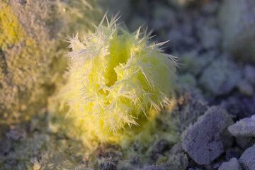 Schwefelkristalle um eine kleine Fumarole herum (Photo: Tom Pfeiffer)