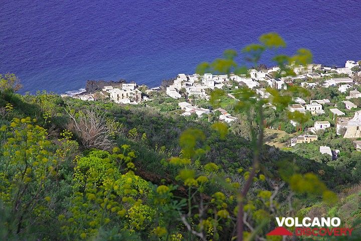 View onto the houses of Picità from the spring-time macchia on Stromboli.  (Photo: Tom Pfeiffer)