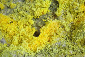 Filigrane Schwefelkristalle bilden sich um die zahlreichen Fumarolen am Kraterrand. (Photo: Tom Pfeiffer)