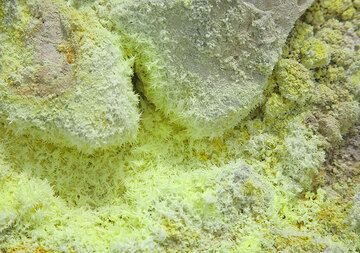 Sulphur needles at a fumarole (Photo: Tom Pfeiffer)