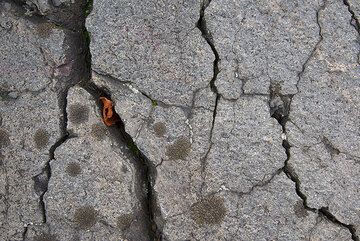 Surface d'une bombe à croûte de pain basaltique-andésitique du volcan Azuma (Honshu, Japon) (Photo: Tom Pfeiffer)