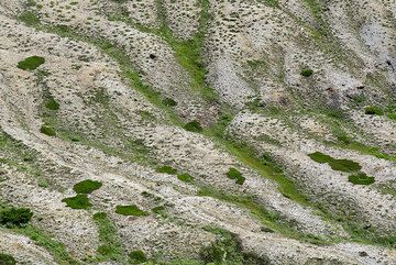 Erosion gullies at the outer slopes of the inner crater containing the Okama lake, Zao volcano, Japan (Photo: Tom Pfeiffer)