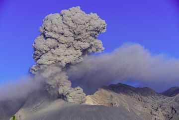 Small ash emission from Showa crater. (Photo: Tom Pfeiffer)