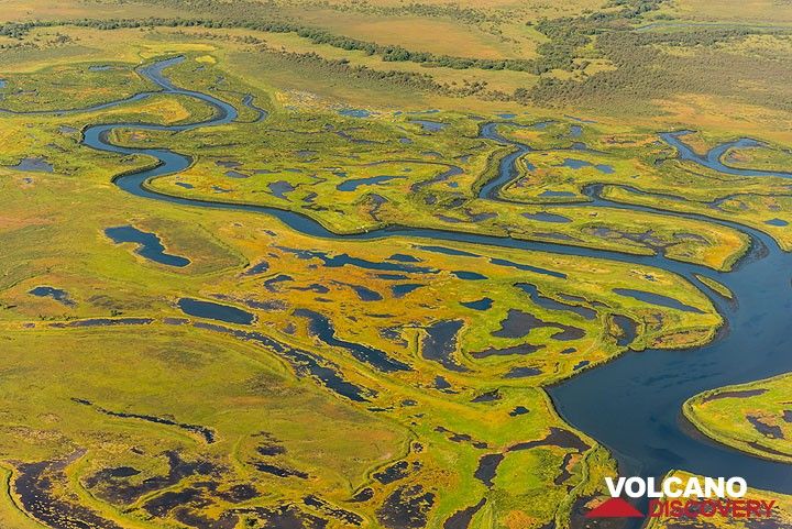 Meandering arms and swamps of the Avacha river. (Photo: Tom Pfeiffer)
