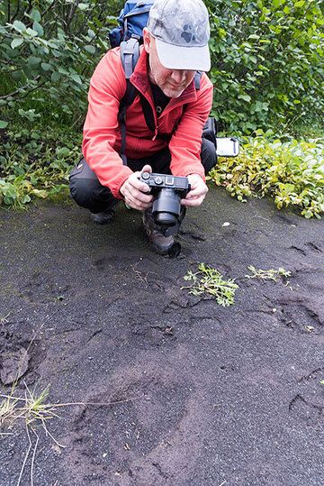 Ronny examine l'empreinte d'un ours plutôt fraîche dans la plaine de cendres. (Photo: Tom Pfeiffer)