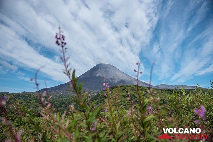 Le panache de gaz du volcan dérive plus ou moins au-dessus de nous aujourd’hui alors que le temps sec et anticyclonique commence à s’installer. (Photo: Tom Pfeiffer)