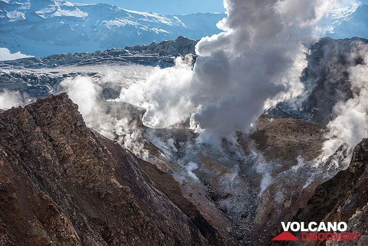 View of a strong fumarole in the crater wall beneath the massive glacier occupying the southern part of the crater visible in the background. (Photo: Tom Pfeiffer)