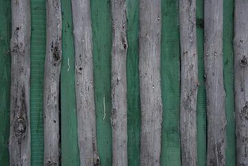 Green wood (Photo: Tom Pfeiffer)