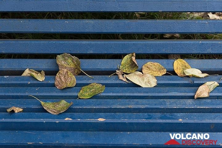 Feuilles d'automne (Photo: Tom Pfeiffer)