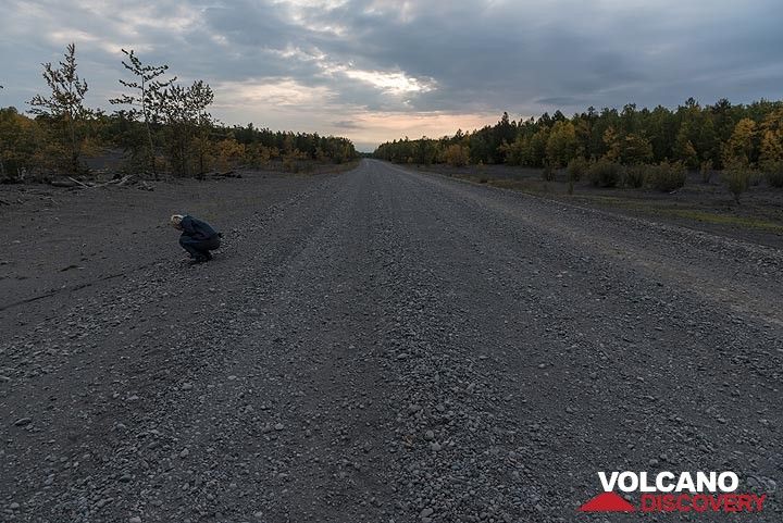 The long gravel road towards the north, though seemingly endless forests. (Photo: Tom Pfeiffer)