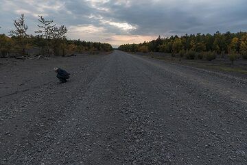 The long gravel road towards the north, though seemingly endless forests. (Photo: Tom Pfeiffer)