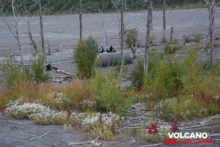 Setting up camp in the pyroclastic flow field at about 10 km distance from the lava dome. (Photo: Tom Pfeiffer)