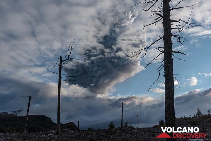 13 Sep: A large explosion occurrs in the morning, producing a towering ash column that rises 7-8 km above the dome. Unfortunately, the dome itself remains covered by clouds. (Photo: Tom Pfeiffer)