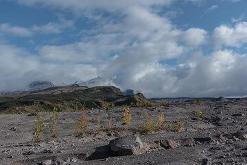 Blick auf den Gipfel des Sheveluch und seinen Lavadom, die leider beide in den Wolken verborgen bleiben. (Photo: Tom Pfeiffer)