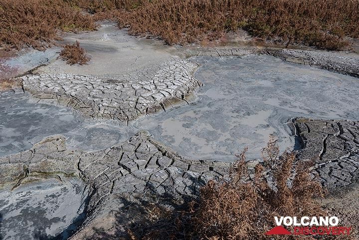 Partially dried-up mud ponds. (Photo: Tom Pfeiffer)