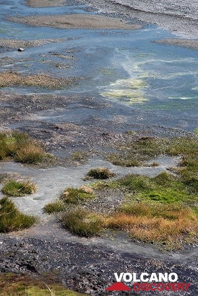 Kleine Teiche (Photo: Tom Pfeiffer)