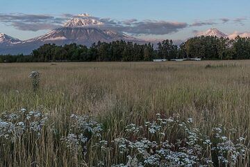 Vue en soirée des volcans Koryaksky (à gauche) et Avachinsky (à droite) depuis un champ près de notre datcha (maison d'hôtes). (Photo: Tom Pfeiffer)