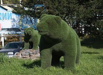 Kamchatka's symbols: bears and... (Photo: Tom Pfeiffer)