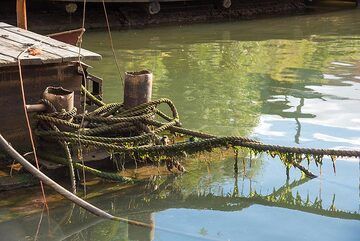 Seile und Wasser (Photo: Tom Pfeiffer)