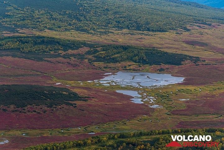 At this time of year, the tundra is colored green, yellow and intense red. (Photo: Tom Pfeiffer)