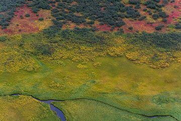 Green meadow (Photo: Tom Pfeiffer)