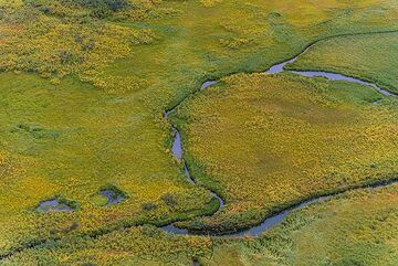 Swamps and small creeks on the floor of the Karymsky caldera. (Photo: Tom Pfeiffer)