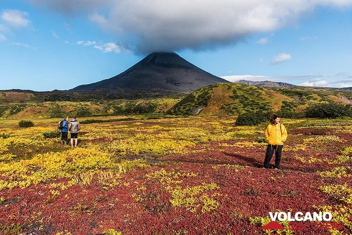 Exploring the surroundings of the hut leads to a wonderful red field. (Photo: Tom Pfeiffer)